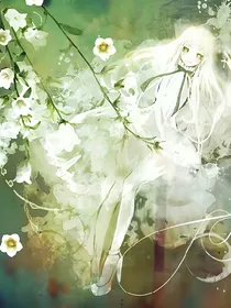 血染蔷薇——绽放