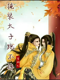 穿越之掩装太子跑不掉