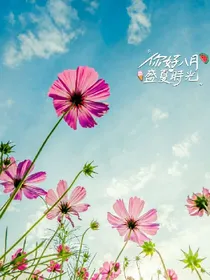 先来求评