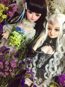双星姐妹花之精灵梦叶罗丽