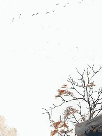 回不去的年少