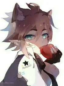 骑士守则