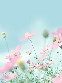 三生三世，只为依然爱你