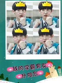 我的学霸男友：朴灿烈