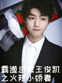霸道总裁王俊凯之火辣小娇妻