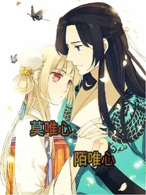 莫唯心，陌唯心