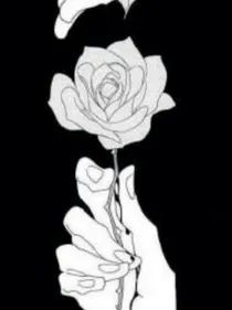 玫瑰花