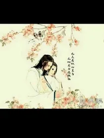 重生之王妃你别狂