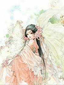 梨花传