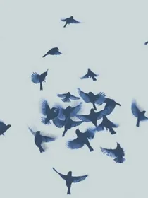 局里的故事