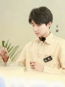 《贴身特工》