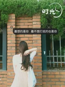 TF之复仇三小姐