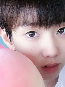 TF家族的爱倩故事
