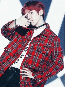 exo边伯贤独宠王妃妻