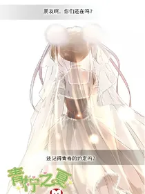 青柠之夏之烈火青春——d811