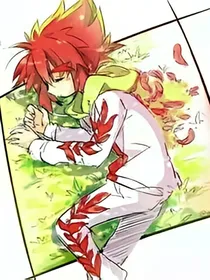 怪盗joker之赤井翼的恋