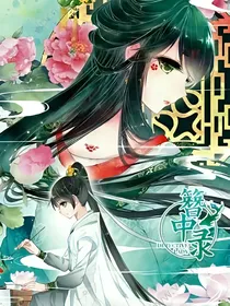 簪中录话本版