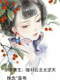 杀手重生：废材公主逆天记