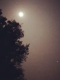 今夜有你