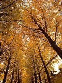回首……又见他