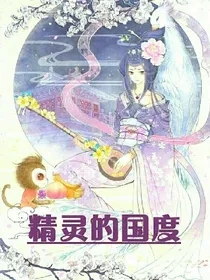 精灵的国度
