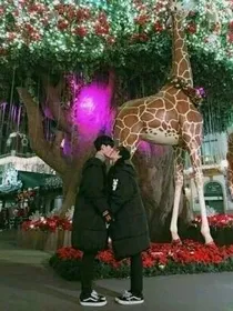 沈苏夫妇
