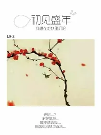 初见盛年