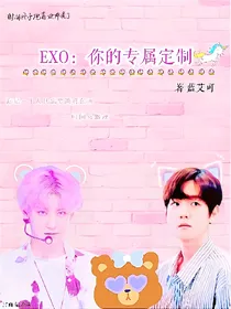 EXO:给粉丝的定制文