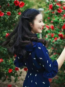 tfboys之三只小蹭饭的小猫咪