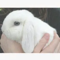 致点滴的小回忆