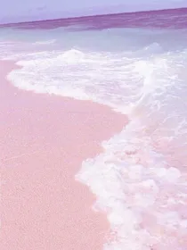 夏生颜葵