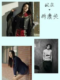 现在，拆鹿关