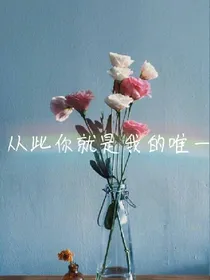 从此你就是我的唯一