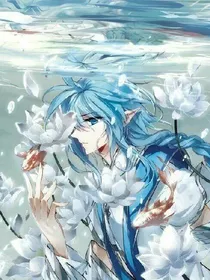 气宇大陆