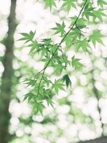 丁程鑫，我该怎么选择呢？