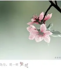 夜中繁花