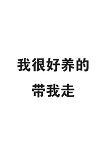 个性签名集