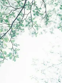 那段爱恋开启的季节