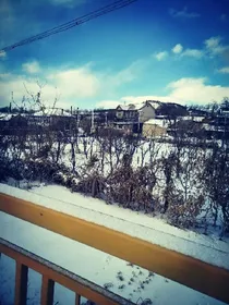 重生之不同命运