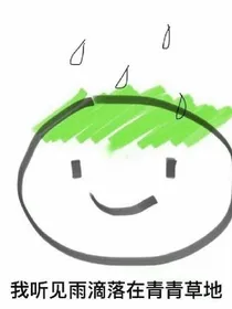 我听见雨滴落在青青草地