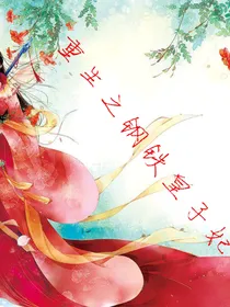 重生之钢铁皇子妃
