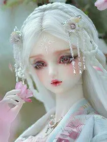 女生最爱的图片