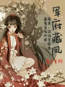 军府藏凤