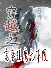 穿越之宠妻狂魔无下限.