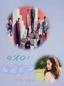 exo:似瑾年华