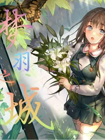 梦羽之城