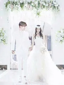 陆地夫妇之婚后的生活