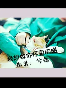 我想做你怀里的猫