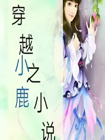 穿越之小说
