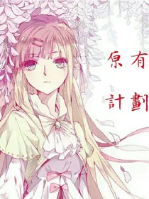 原有计划